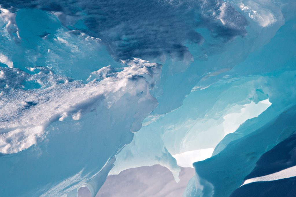 Frozen Time Diane Tuft