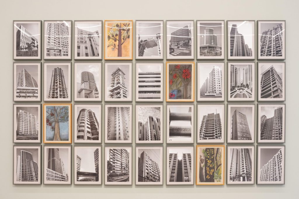 Sheher Prakriti Devi Ishara