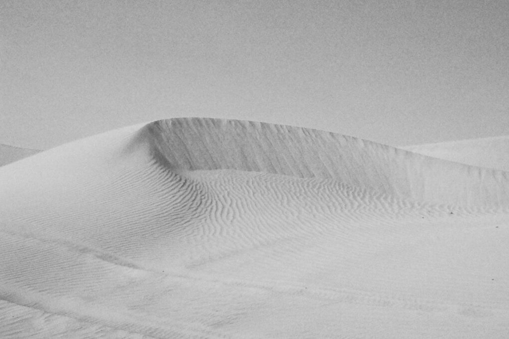 Toy World Farah Qasimi 