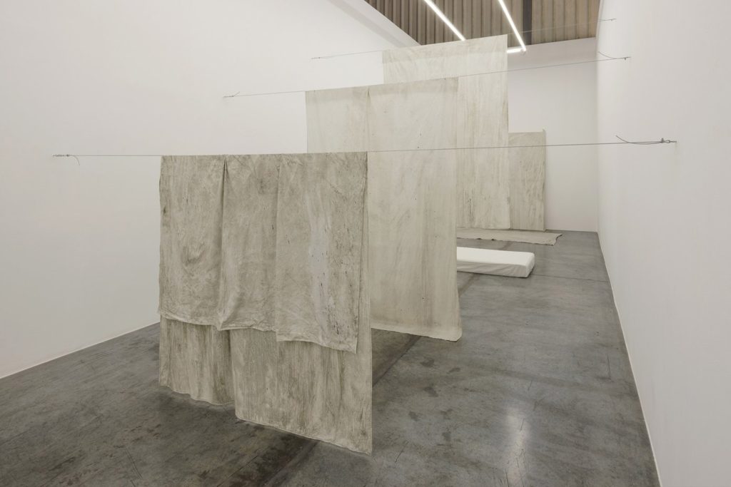 Five Dreams Suns Garden