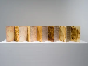 tamara-kalo-olive-leaves-memories-2024