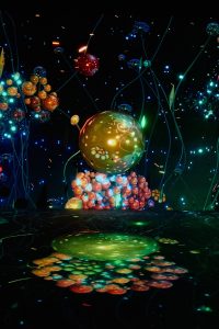 an artwork by Lydia-Yakonowsky