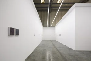 Lala Rukh I_Installation-view-2