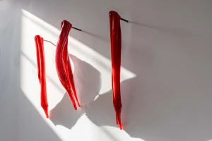 Sara Aref Ahli, Bone Marrow - Flesh