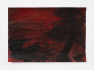 Tamina Amadyar, devil's lake , 2025