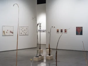 Improvisations_insta-view-2