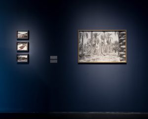 Seas Are Sweet_insta-view