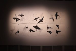 What Remains to Be Seen-view-1