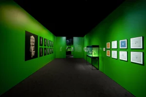 Birds-of-Verse-view-3