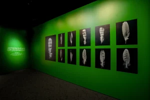 LECOLE-Middle-East-Exhibition-_Poetry-of-Birds-insta-view