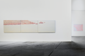 NIKA Project Space_Hybrid Vistas-2