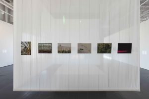 Rays, Ripples, Residue, 2025. Installation view. Courtesy of 421 Arts Campus, Abu Dhabi. Photography by Ismail Noor, Seeing Things