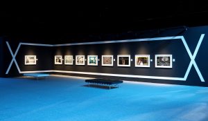 Xposure-Festival_view_2025