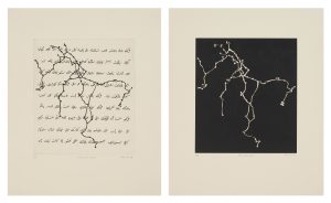 عمل «رحلات مع راني I وII» للفنانة زارينا، 2008، في معرض «عوالم الأردية»