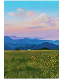 Kashish Rabban's work