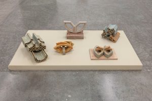 Asma Belhamar: Window Fly