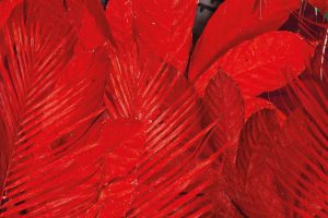 Bloom Borrow Aïda Muluneh