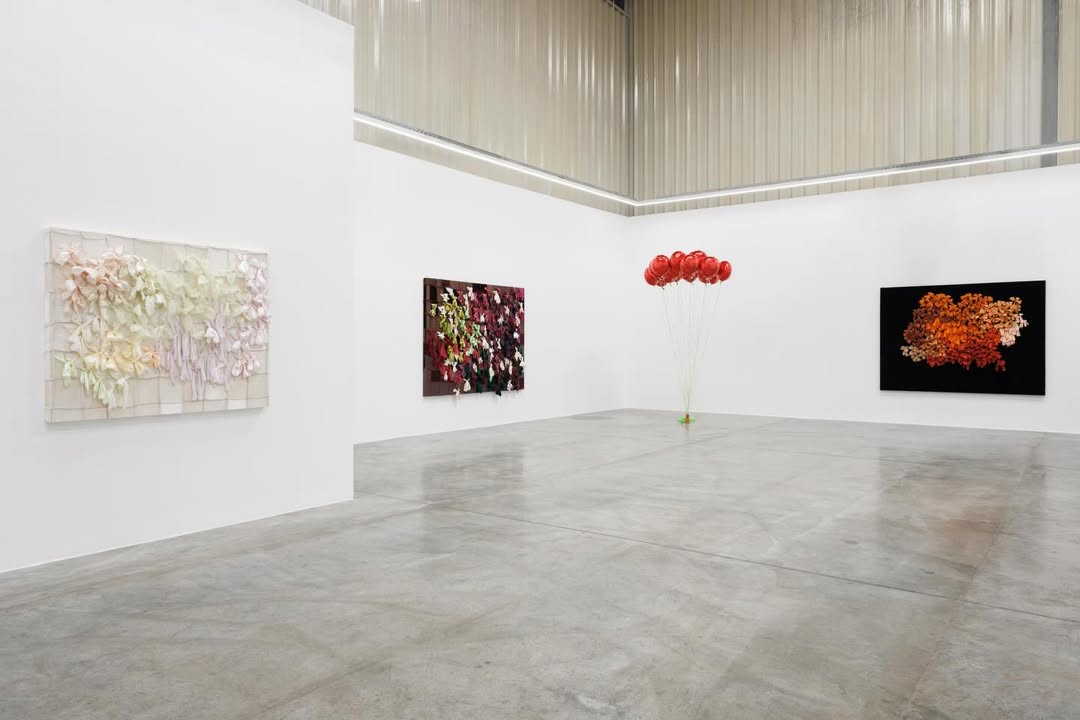 Get Well Soon_Installation View