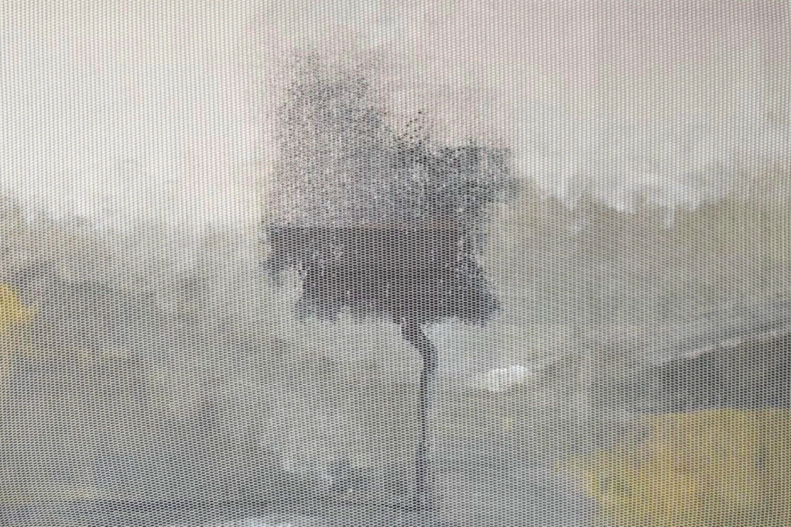 Fatma Lootah, Untitled, Ghaf Tree Series, 2019