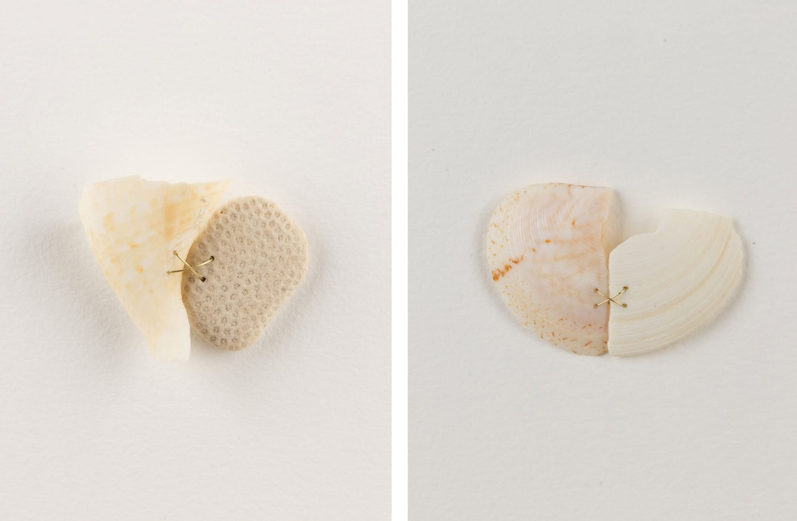works by Ana Escobar Saavedra